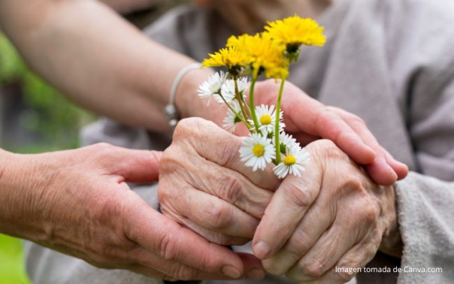 Cuidados Paliativos Medellín