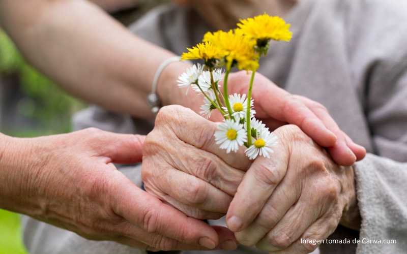 Cuidados Paliativos Medellín
