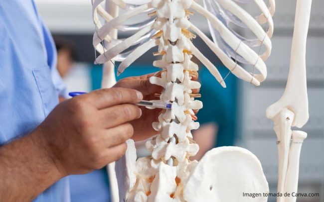 Espasticidad Refleja Medellin